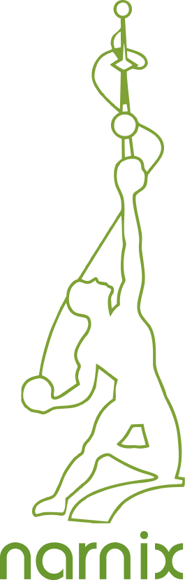 Narnix Edge Pvt Ltd Logo